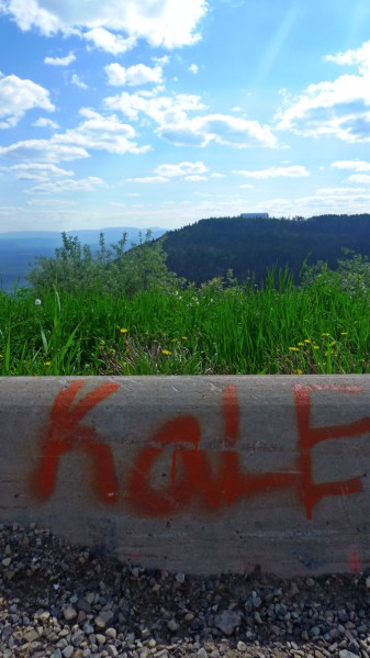 kale on the alaska highway - rural