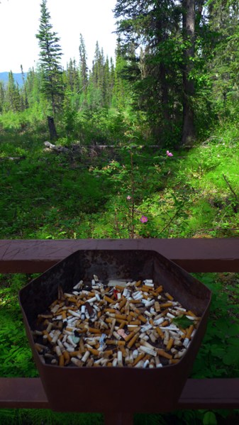 Liard Hotsprings Rural