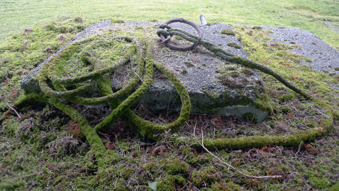 moss rope rural