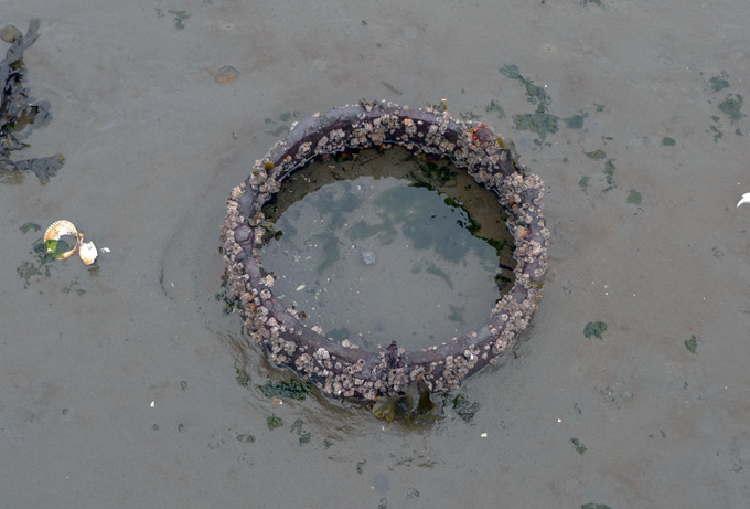 barnacle ring rural
