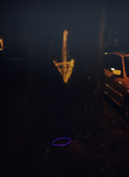 FEGail_arrowring_2013