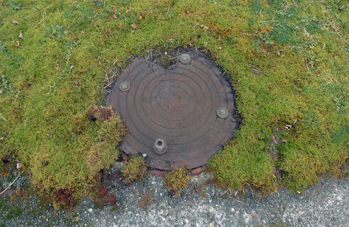 moss manhole rural