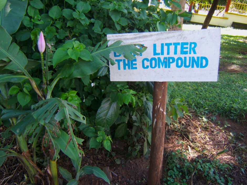 litterthecompound_brianlye