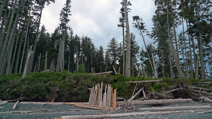 Kerri_beach wood rural