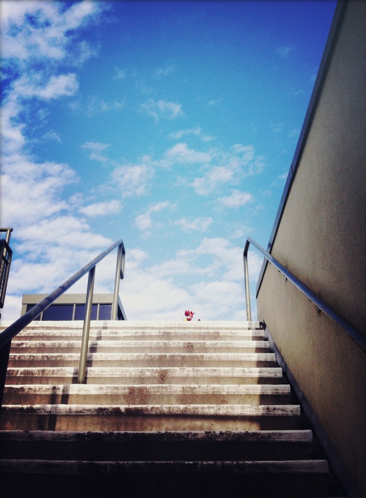 FEGail_flowerstairs_2014