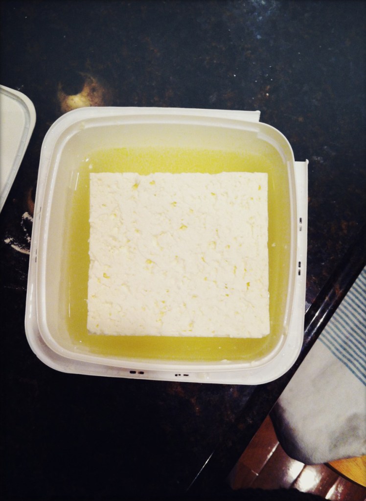 FEGail_cheesesquare_2014