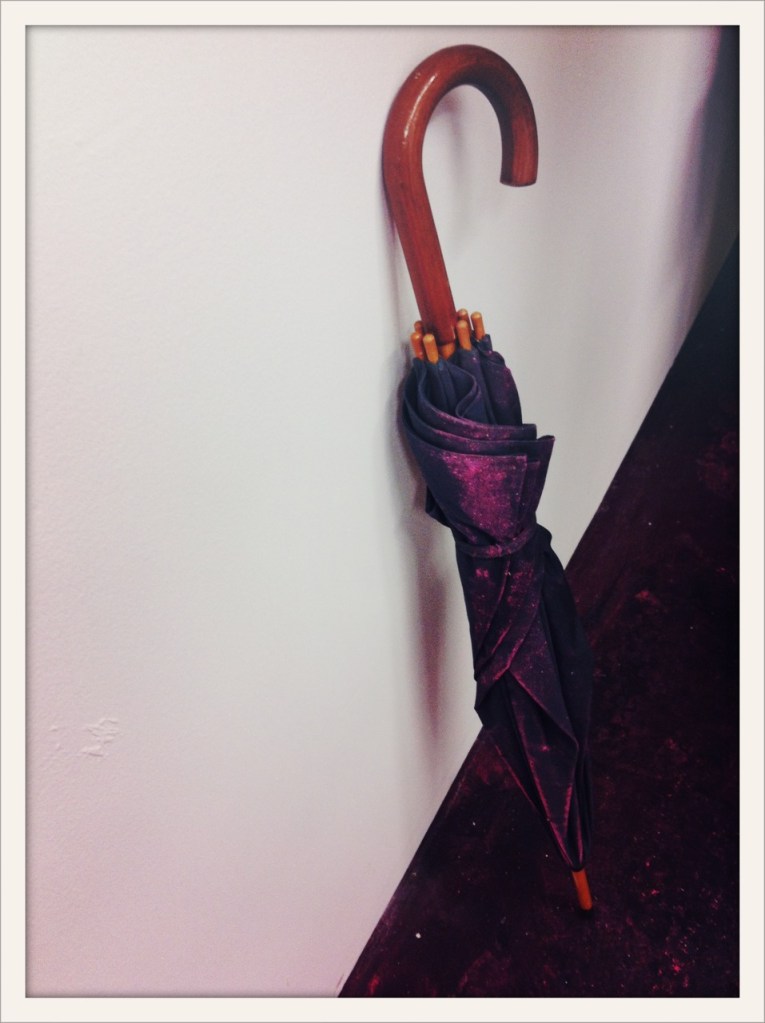 FEGail_umbrella_2014