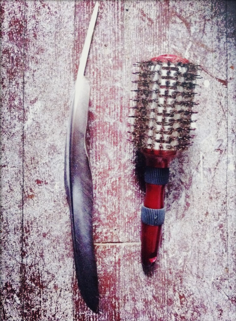 FEGail_featherhairbrush_2014