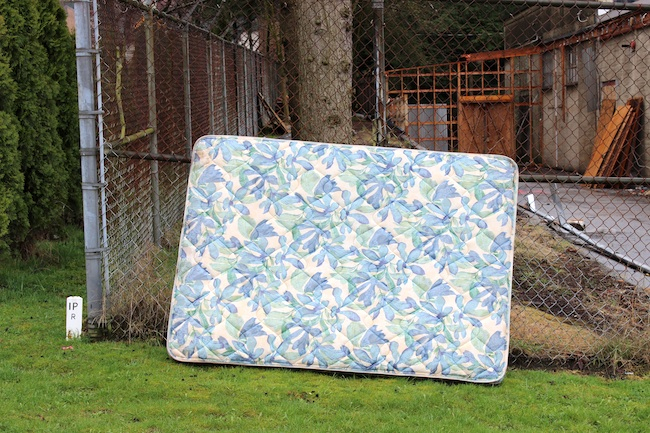 bushormatress_brianlye