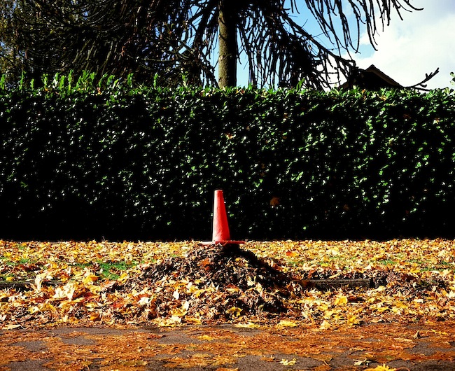 autumnpilon_brianlye