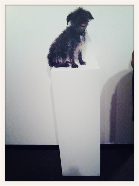 FEGail_Kelly'sDog_2014