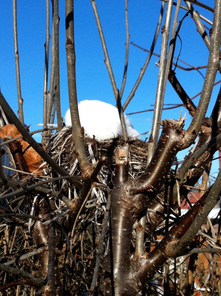 02ADsnow_nest