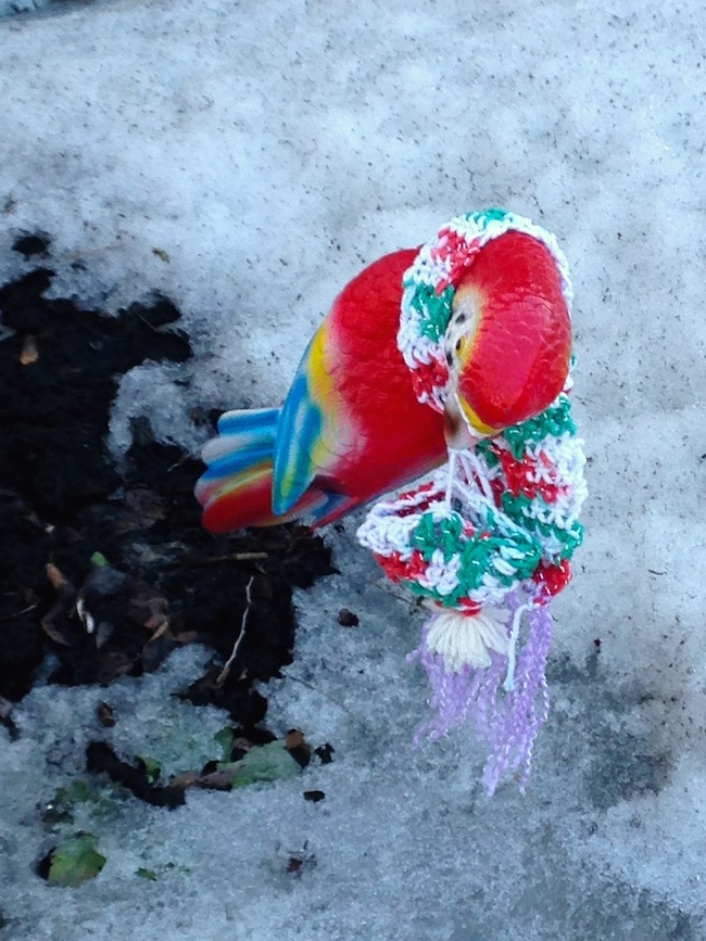 07Jennifer_bird with scarf