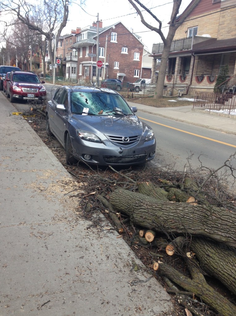 23David_window_crack