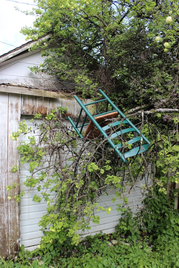 14BL_Gonewiththewind