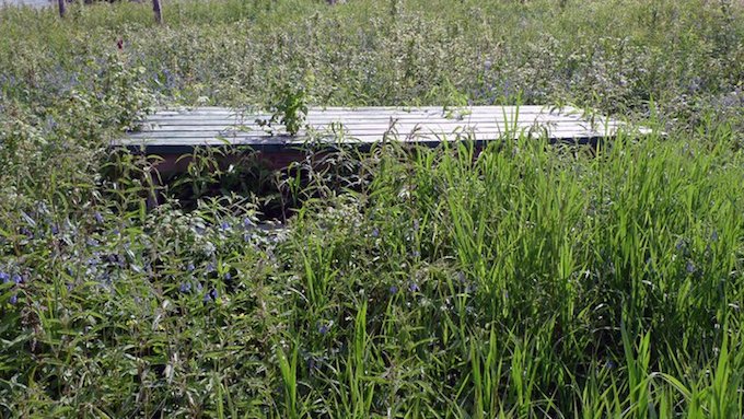 25kerri_picnic table rural