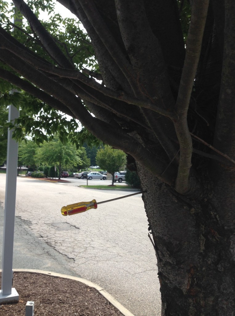 26_David_screwdriver