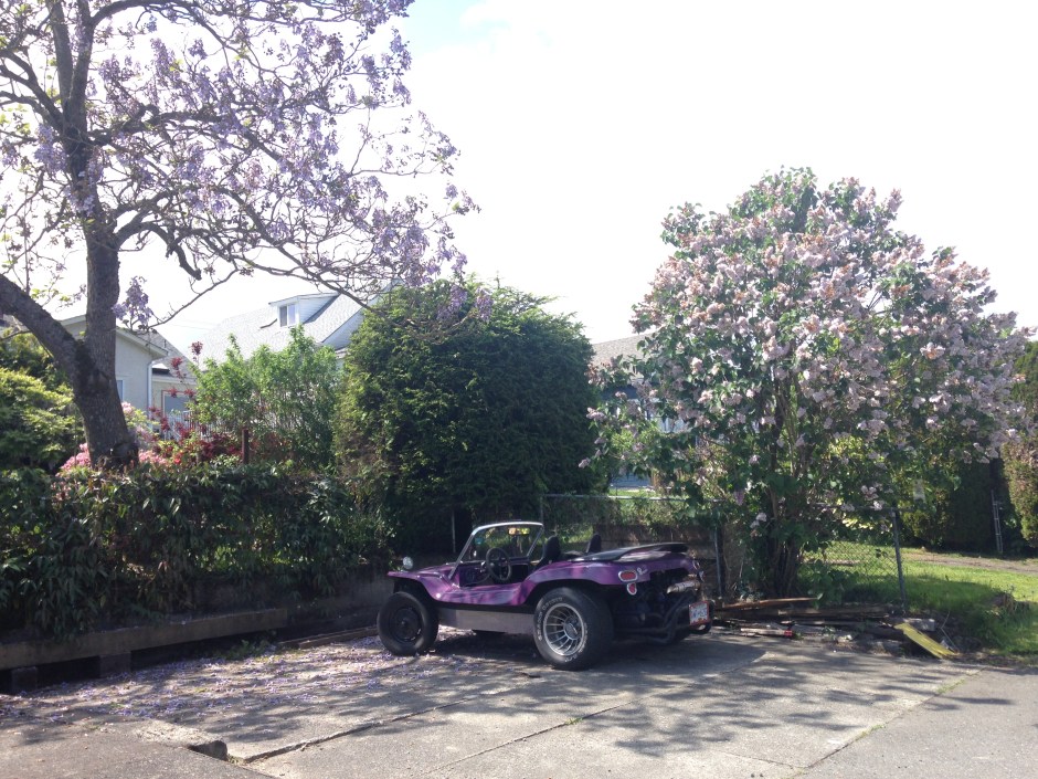 23Jessie_blooming trees