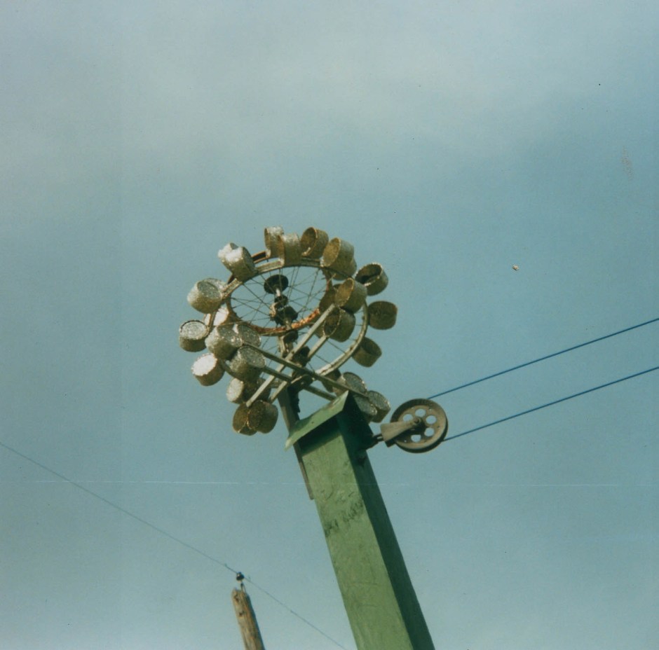 26DAFOUNDcatfoodweather