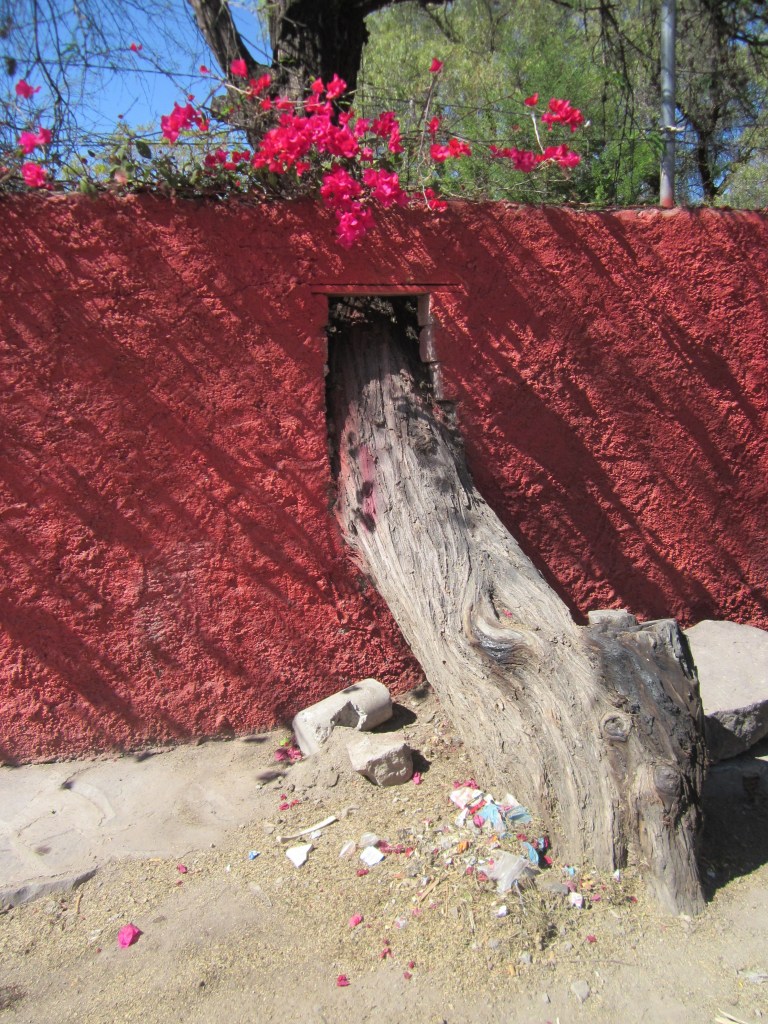 28Andrew_McPhail_tree