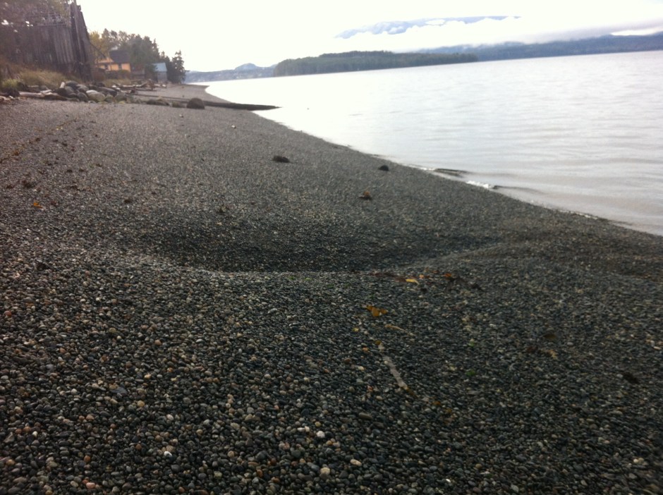 08Kerri Beach Hole Rural