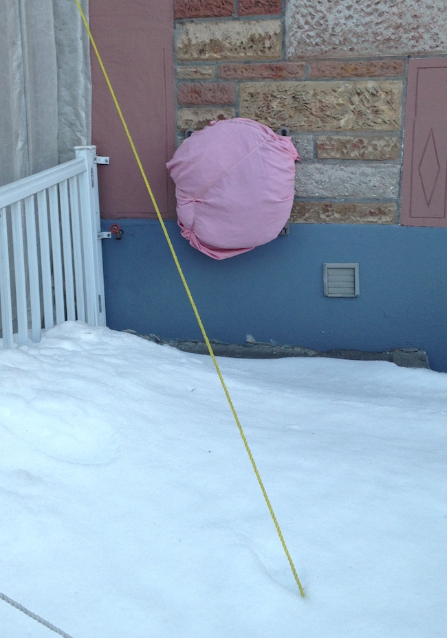 02_JD_SAD pink circle