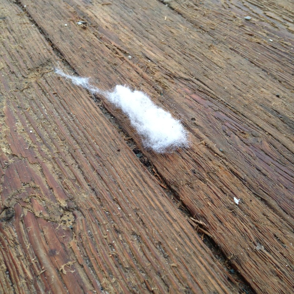 24BarabarLounder_fluff