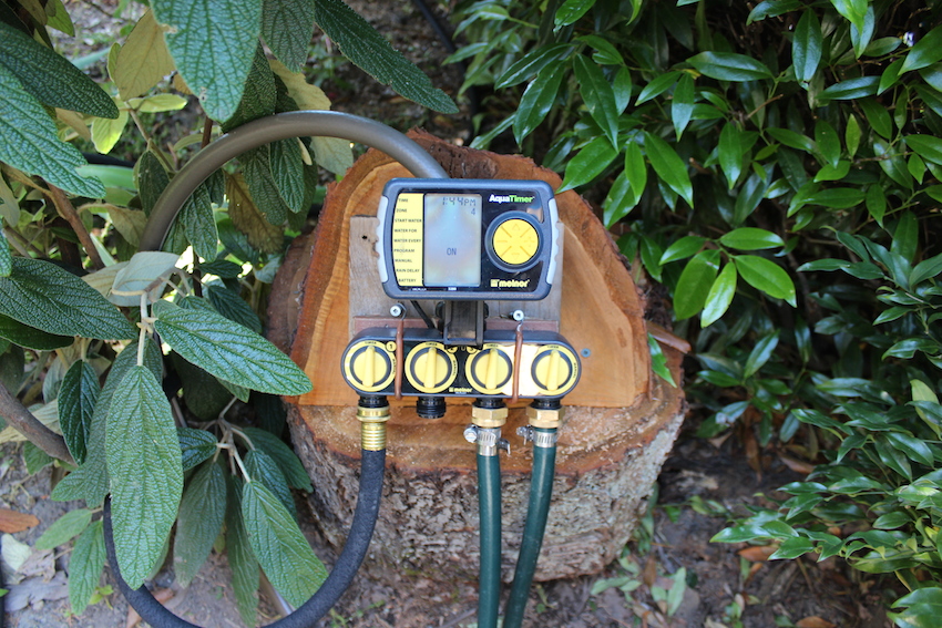 01BL_watertimeronstump