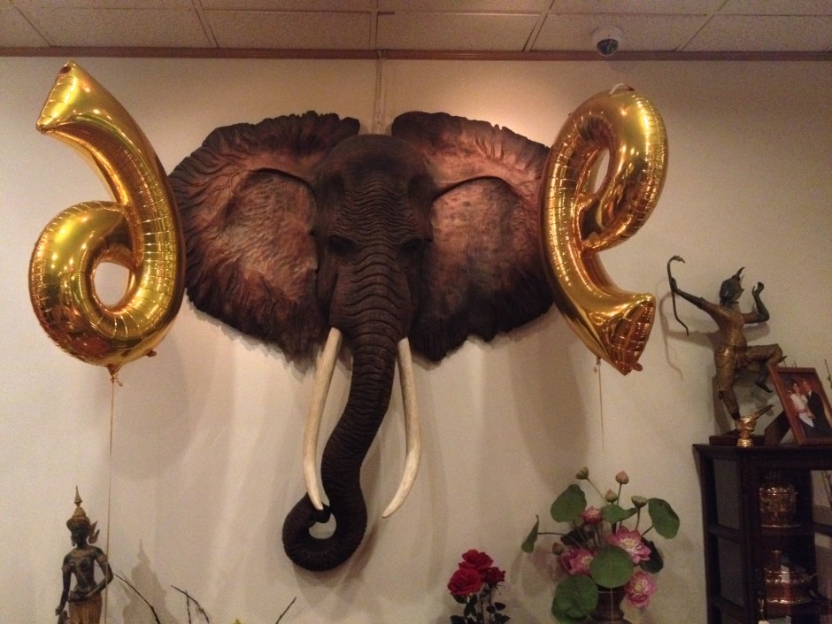 09SGelephant_ears 69