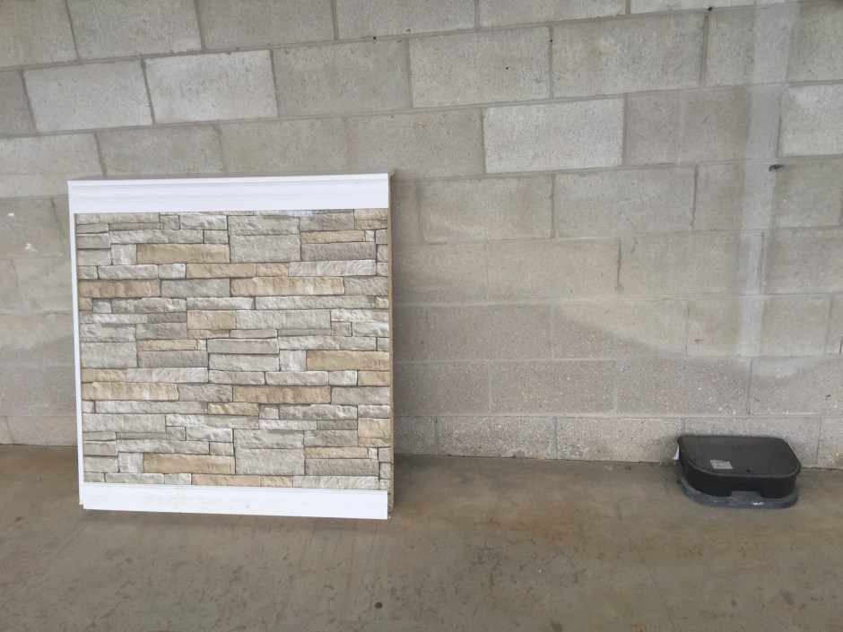 11_a rat runs thru it FW