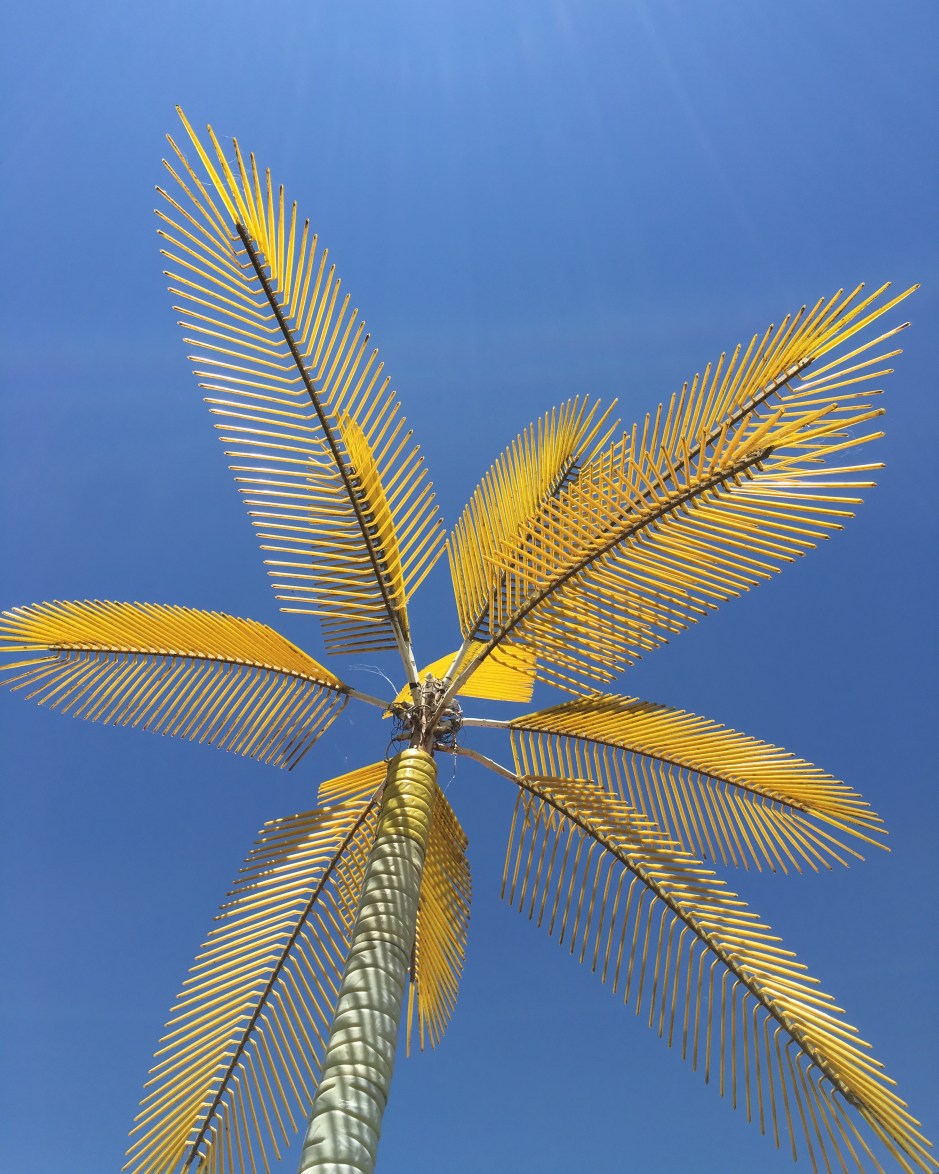 03_svava_Juliusson_yellow tree.JPG