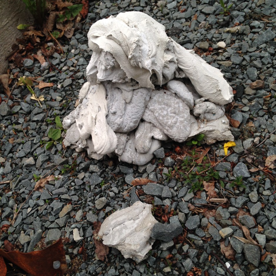 08_Barbara_lounder_whiterags