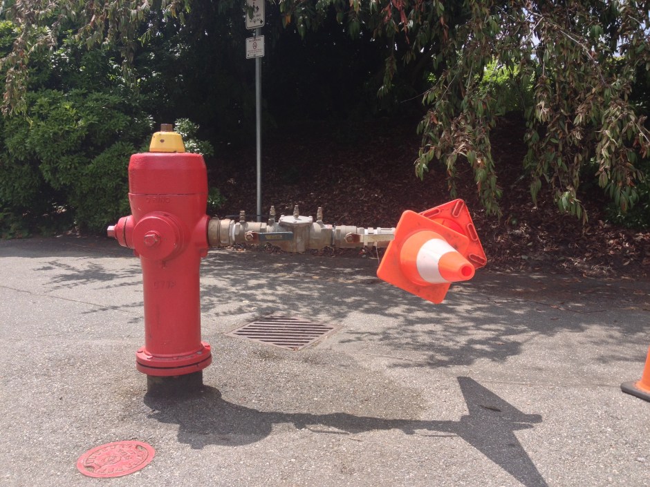 28_SG_fireHydrant