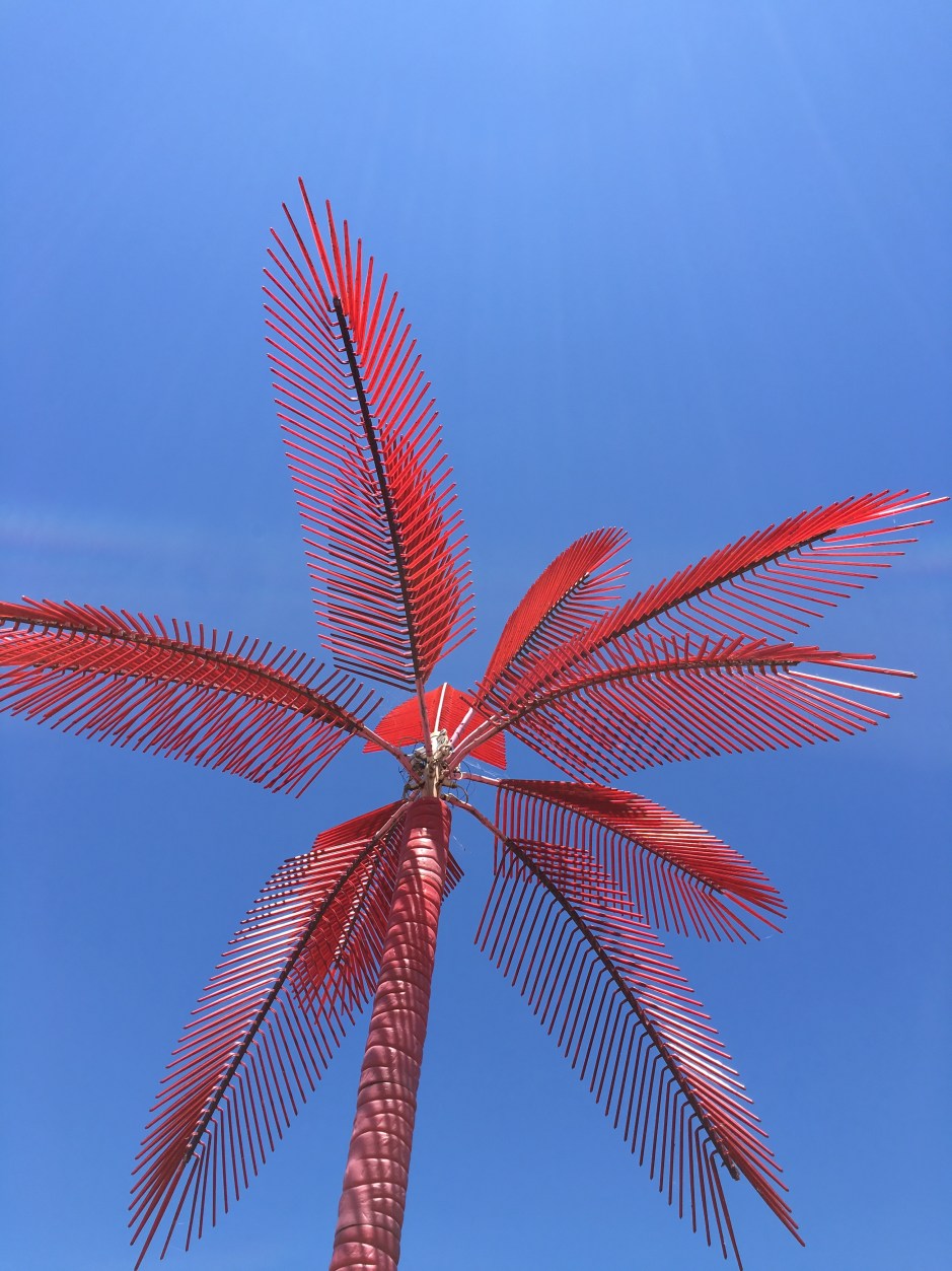 10_svava_juliusson_red-tree