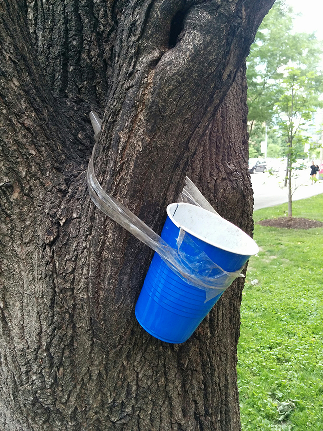 21_sl_beer-cup-squirrel-feeder