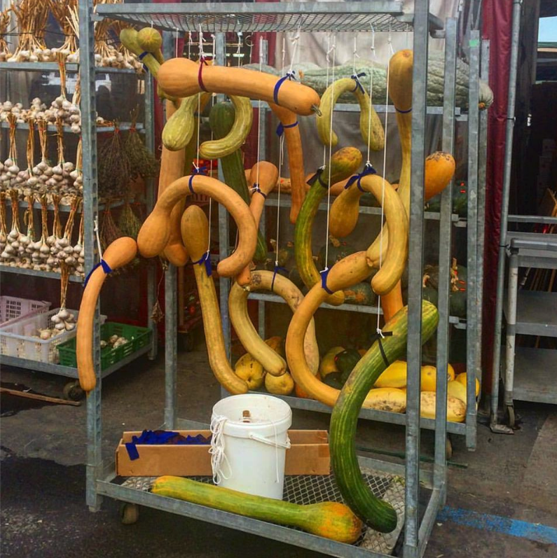 21_dean_baldwin_squash