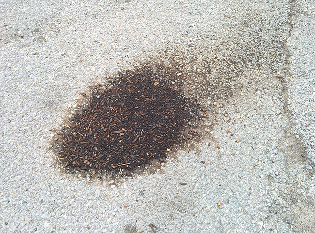 20_sl_windswept-soil-on-parking-lot