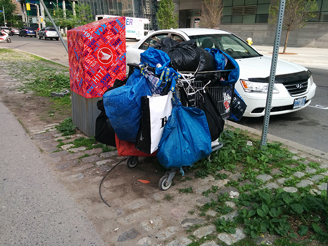 24_sl_transients-cart