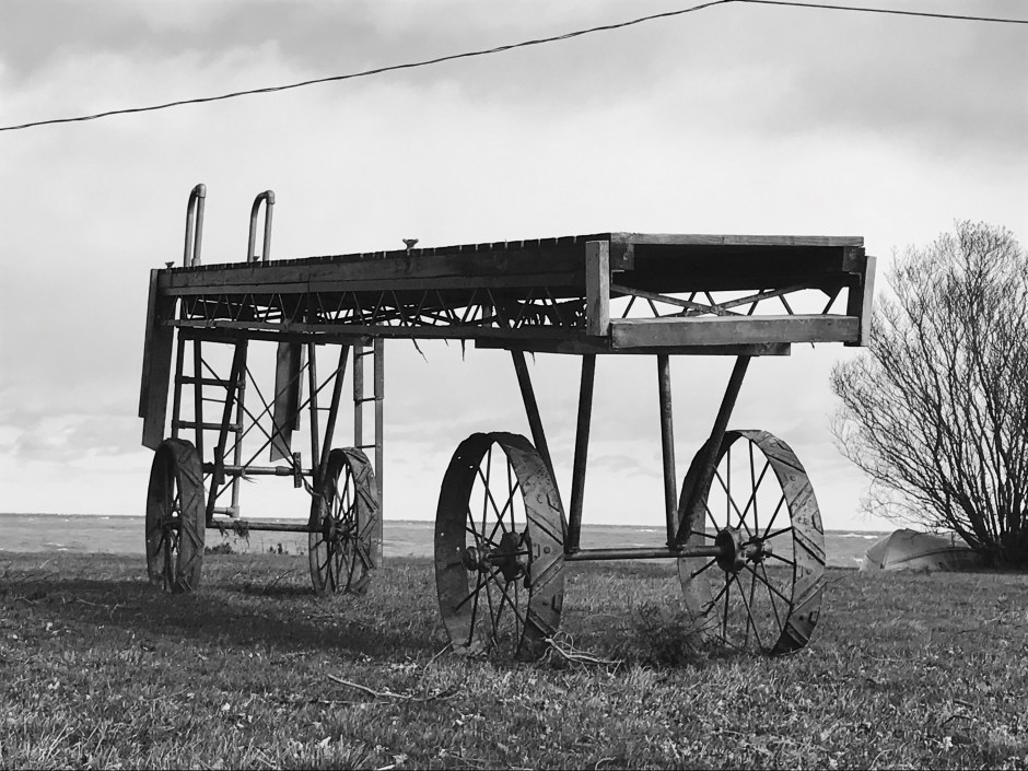 19_reece terris_ladder.jpg