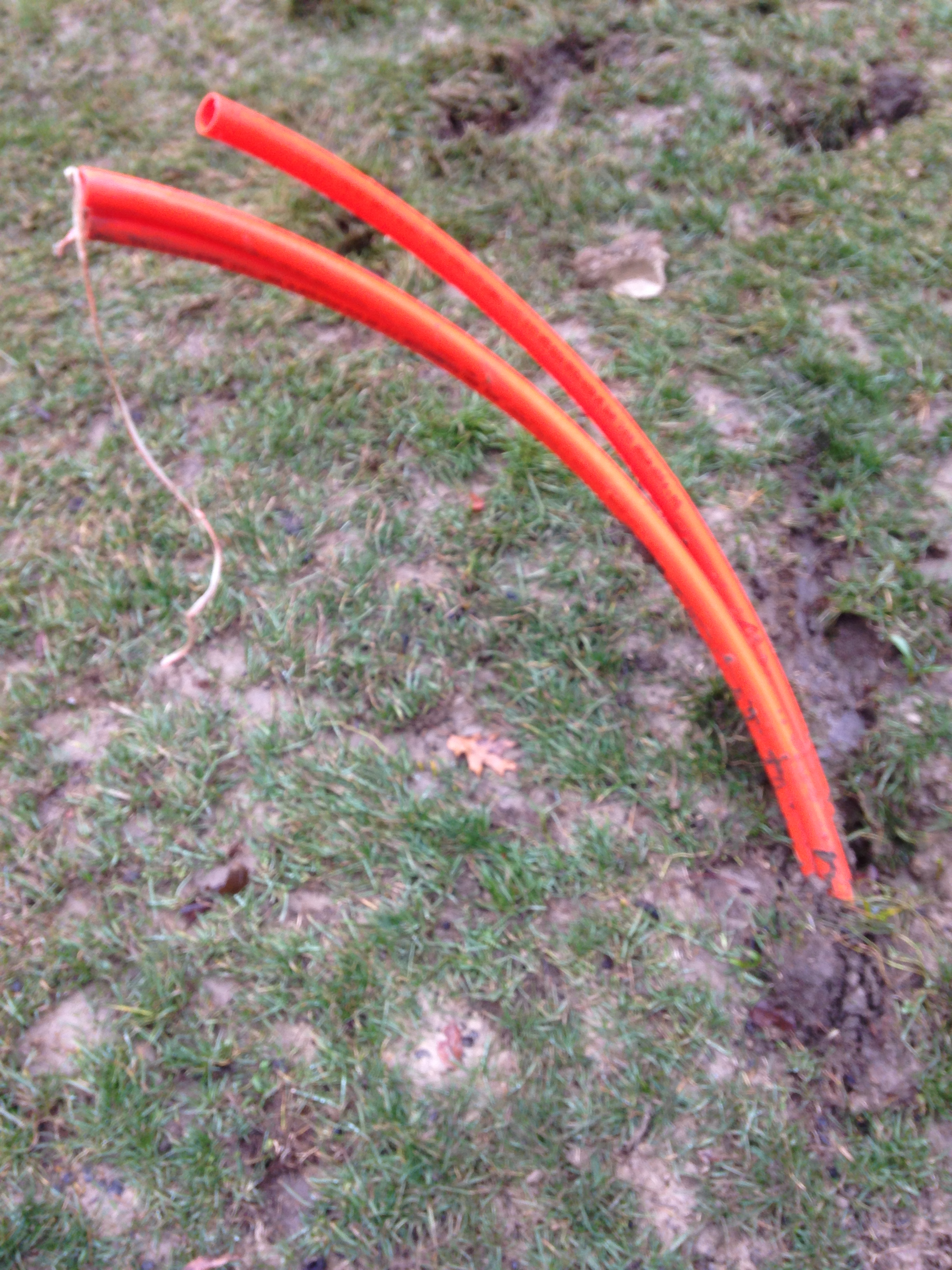 17_Andrea_carson_orange_tube.JPG