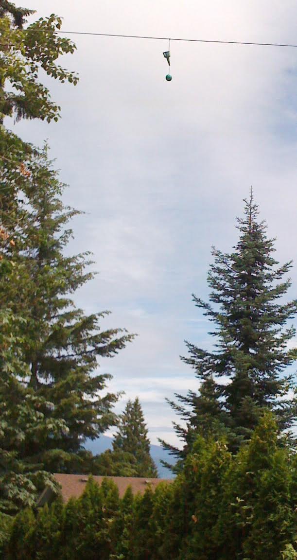 22_Rose_Kapp_hanging