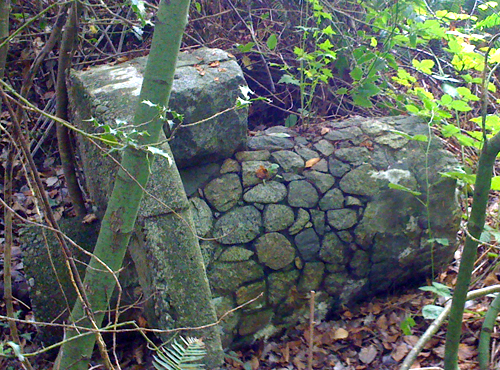 14_SAD_Kapp_Oct4.2016