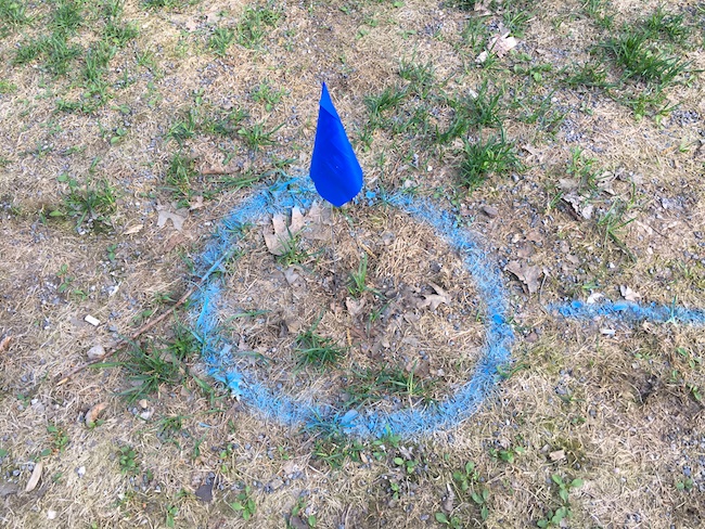 02_SAD_Blue Flag_DORNER