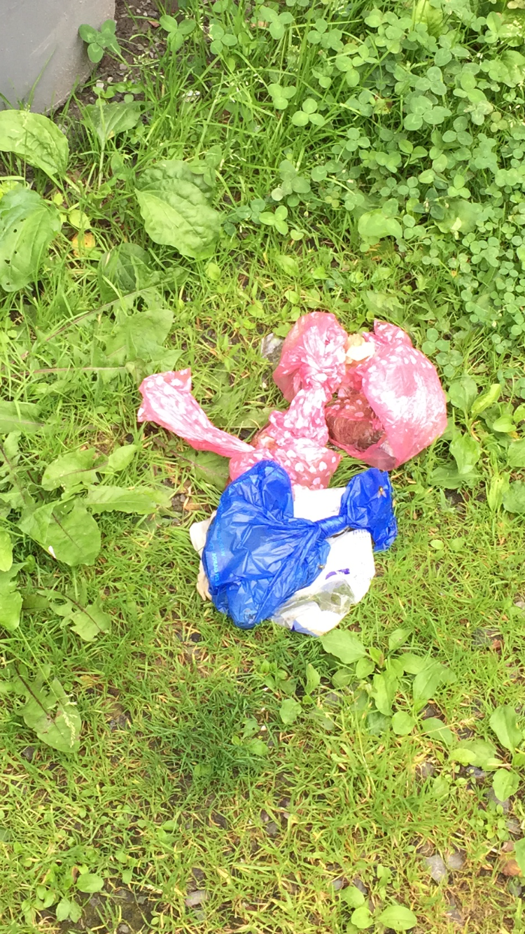 03_Sharon VanStarkenburg_poop