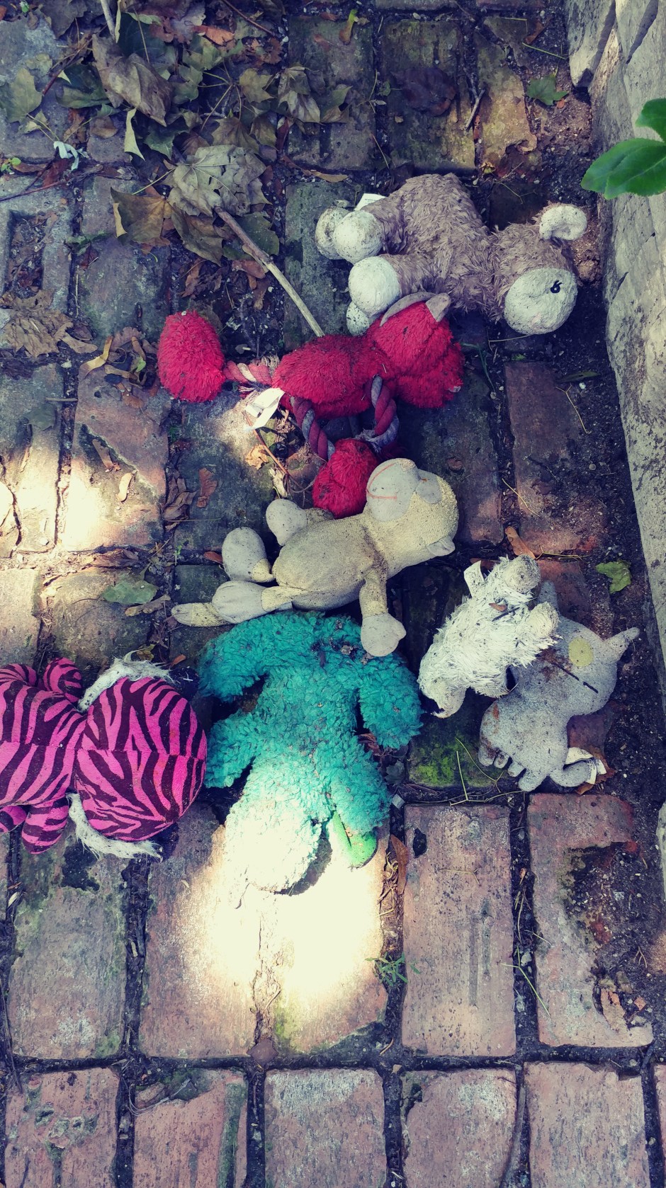 04_Shalini_stuffedanimals