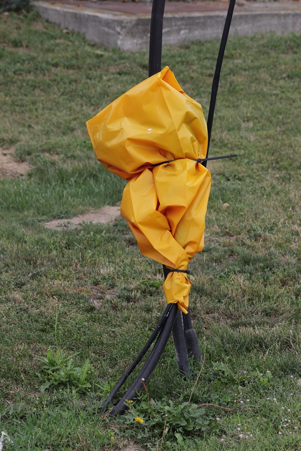 16_Steven_Laurie_Orange_Endcap