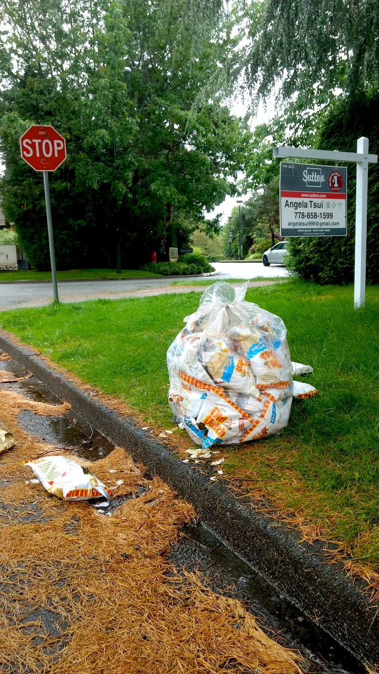 19_BL_chips_and_more copy