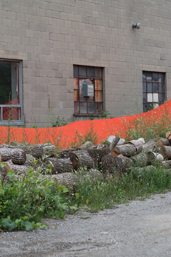 26_Steven_Laurie_Orange_Band