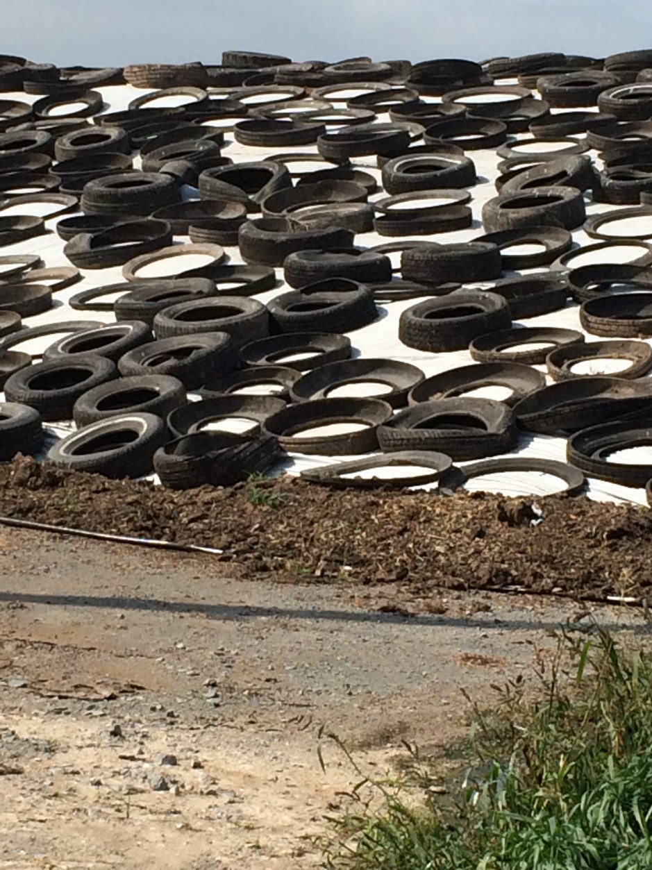 12_Sarah_tires_closeup