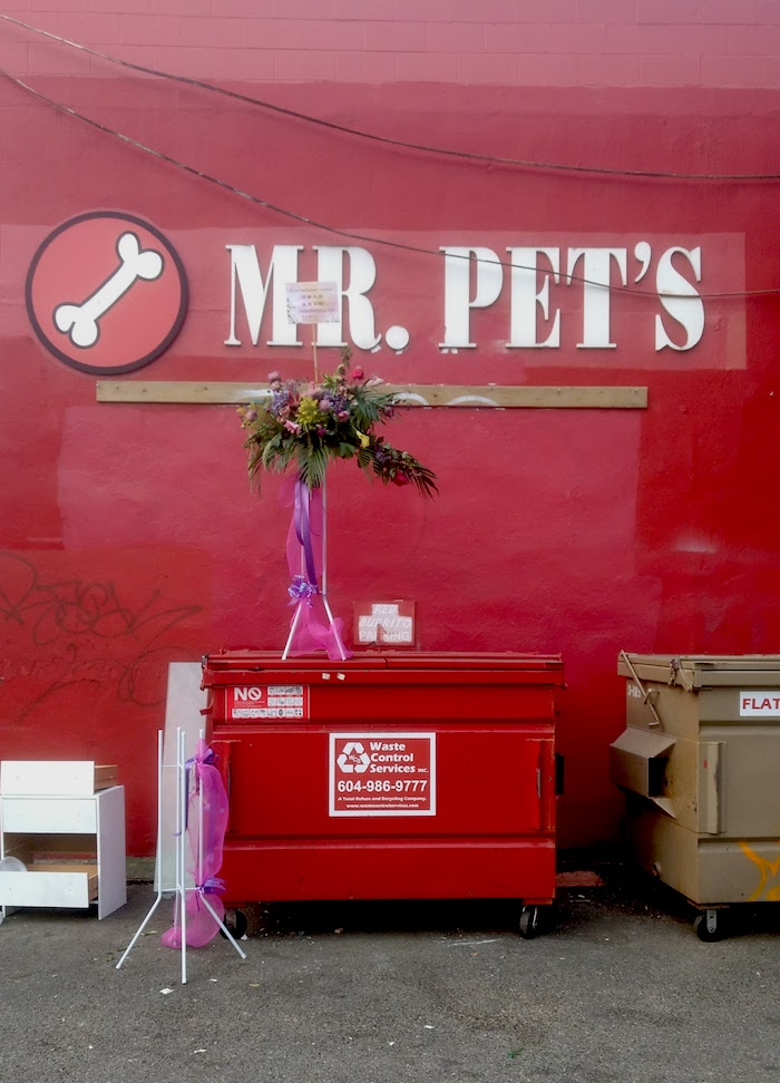 20_BL_mrPetsinstallation